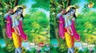 Unknown Facts Of Lord Krishna's Peacock Feather || కృష్ణుడు పెట్టుకునే నెమలి పించం యొక్క అసలు రహస్యం