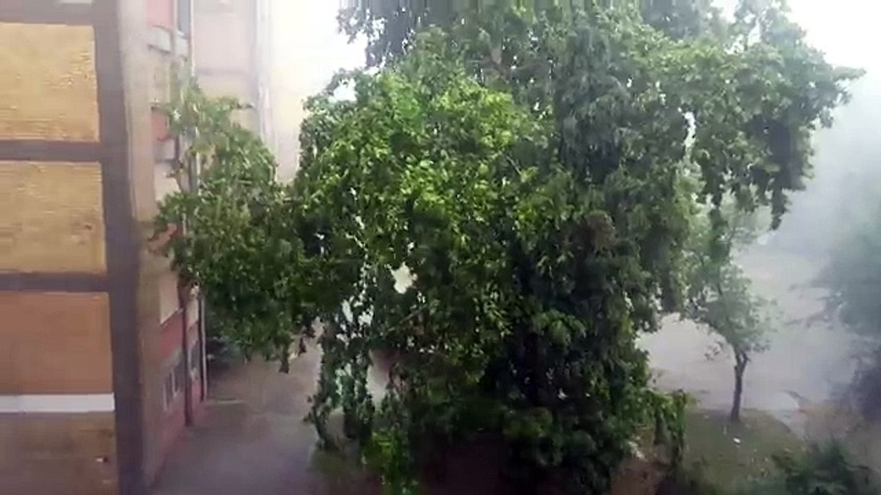 Nevreme, oluja, srbija