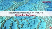 La barrière de corail a désormais un prix