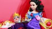 Frozen Disney Poison Apple Snow White Evil Queen Kidnap Barbie Dollhouse Princess Toys Par
