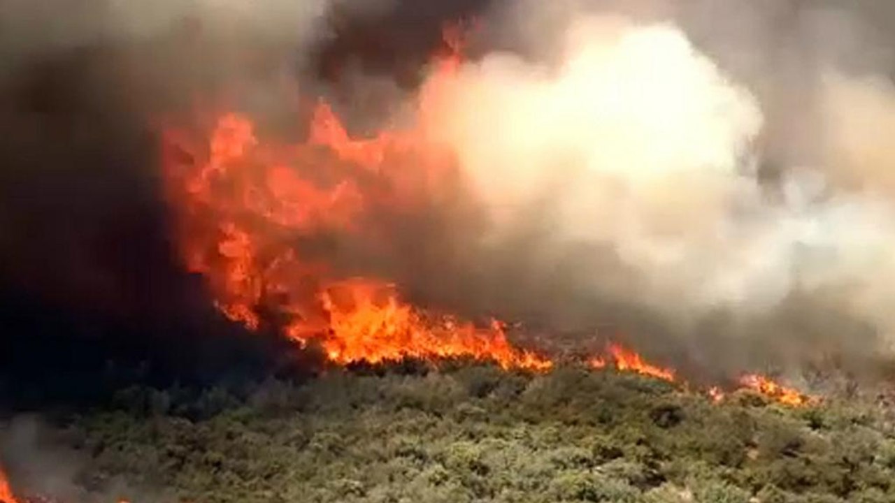 أمريكا:أكثر من 1500 شخص يغادرون منازلهم بسبب إشتعال نيران