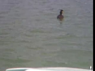 Souvenirs...Souvenirs