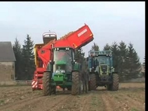 Récolte des oignons 2007