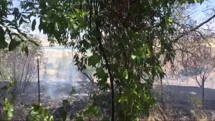 Ekili Arazide Yangın Çıktı