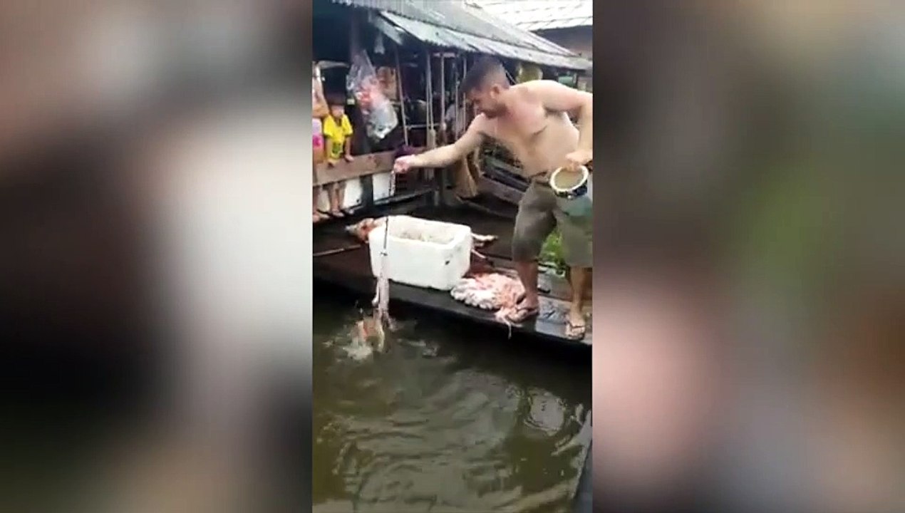 La pêche aux piranhas ça se passe comme ça...