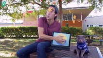 Funny Vines | Zach King Best Magic Tricks | Best Magic Tricks #1