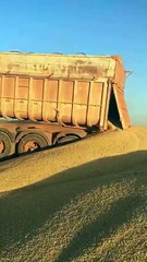 Produtores jogam milho fora por faltar de local para armazenar o estoque