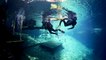 SucbaLab Testers Choice: Tusa BC0102 Soverin-Alpha Scuba Diving BC