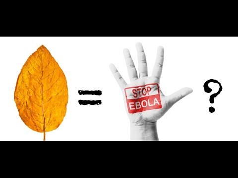 What Is Ebola Virus & How Is It Transmitted