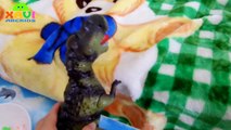 Dinosaurio para congelado Niños película salvar hombre araña para juguetes tirano saurio Rex Vs elsa xavi abckids