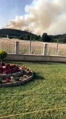 Merr flakë mali në Dollogozhdë të Strugës