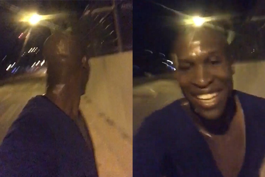 Quand Fanni se fait courser par des chiens…