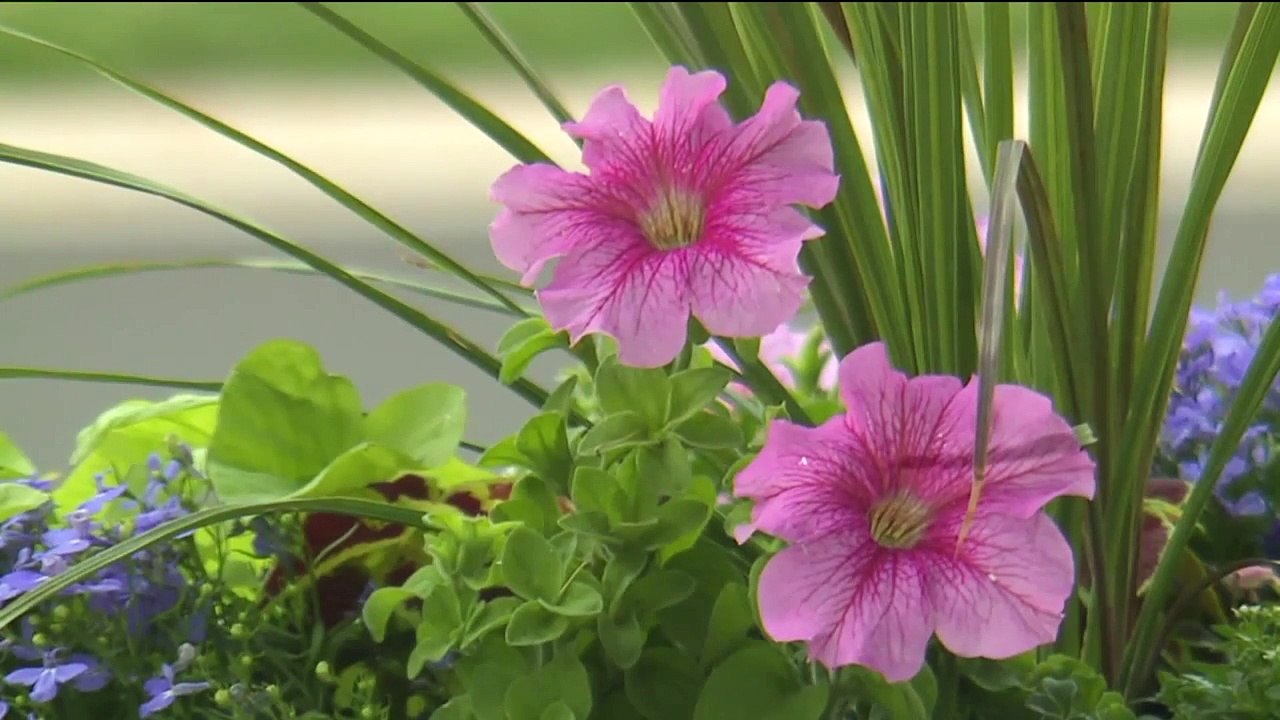 Father Accidentally Shoots 3-Year-Old While Cleaning Gun