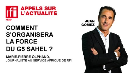 Comment s'organisera la force du G5 Sahel?