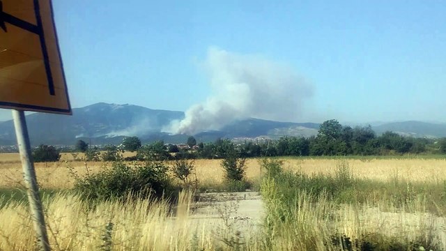 Пожар Струга