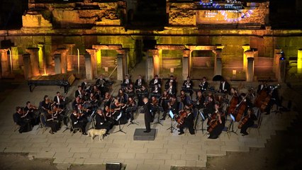 Ce chien aime bien le spectacle d'une orchestre