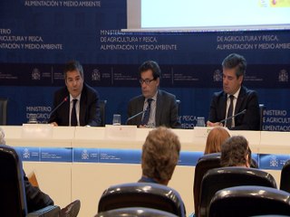 La producción de cerveza crece un 4% en España