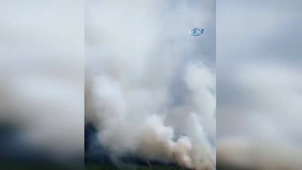 Sibirya'daki Orman Yangınları Büyüyor