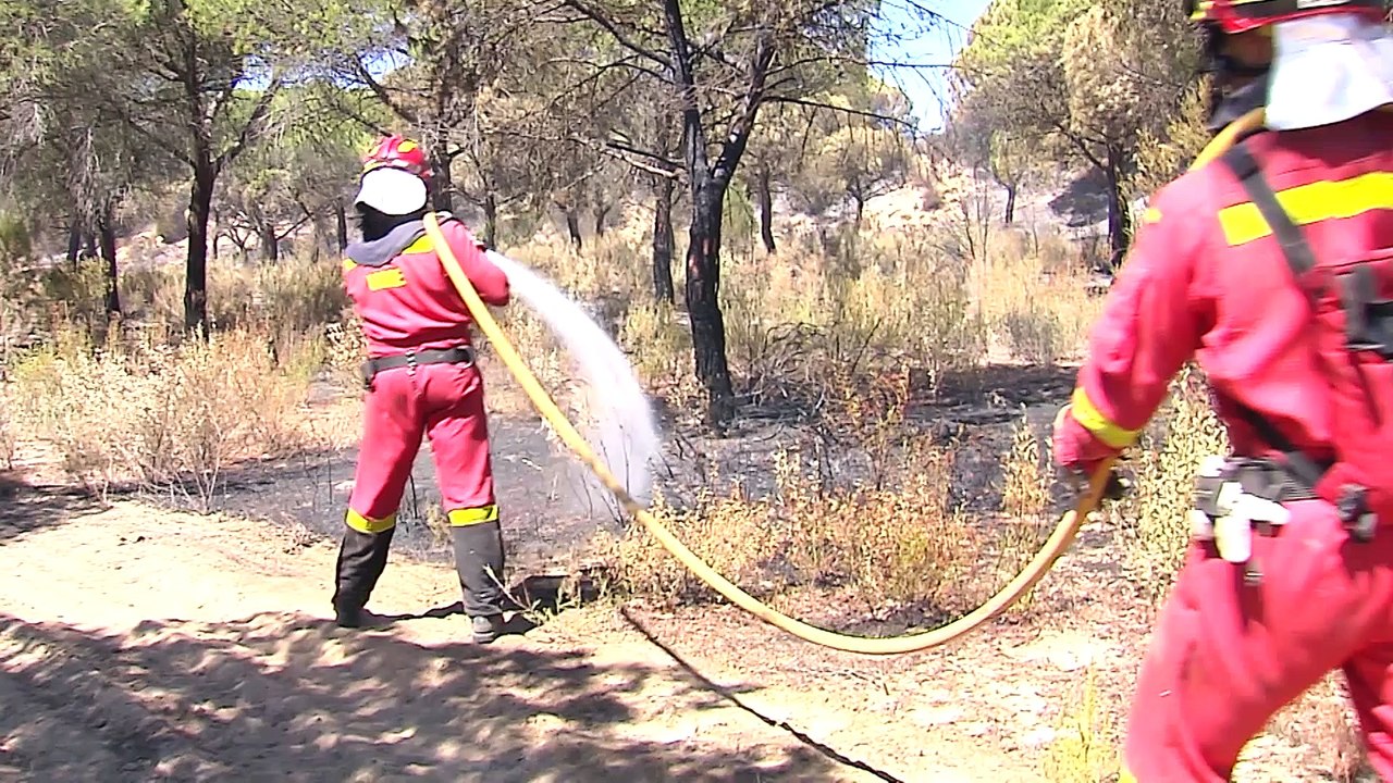 Bomberos denuncian actuación en el incendio de Moguer
