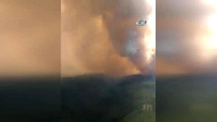 Sibirya'daki Orman Yangınları Büyüyor