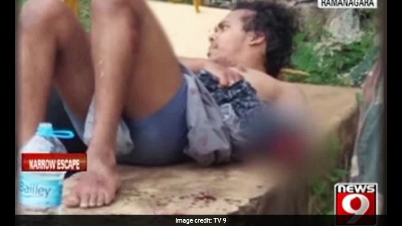 Bengaluru Start-Up CEO Loses Arm in Crocodile AttacK, Now Faces A Penalty.