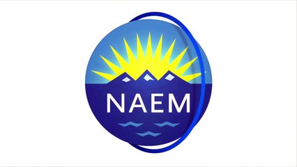 Aligning Sustainability with Your Company's Long-Term Strategy | NAEM