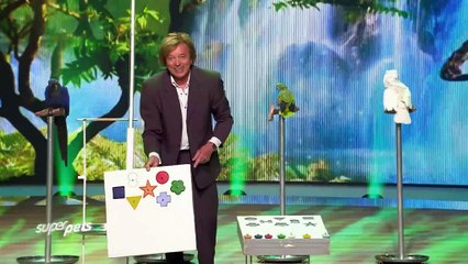 SuperPets - world's most talented pets