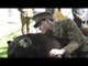 Un ourson nommé Winnie (Michael Fassbender) - film complet en français