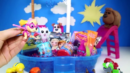 Trouver gelé vie de de fête patrouille patte animaux domestiques piscine jouets Orbeez surprise secret disney elsa p