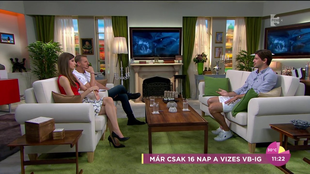 FEM3 - Madaras Norbert