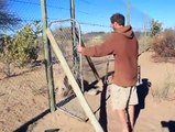 Lions Love Their Owner . Lovely Video Of Lions Kissing their owner