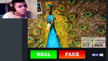 PHOTOSHOP SKILLS! Real or Fake - Vlogs w/ caramida9 #34