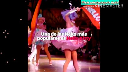 Japóneses y Nekos (Gatos) Unidos desde hace más de 1000 años