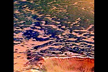 MARS-A-GO-GO Life on Mars