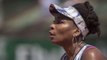 Venus Williams at fault in fatal car accident