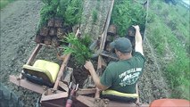 == Fast way to plant Trees    Using a   Princeton Tree Planter  
