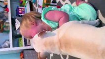 Funny Baby vs Dog Videos 2017  AMAZING DOG make BABY CUTE FUNNY VIDEO PLAYING LAUGH COMPILATION