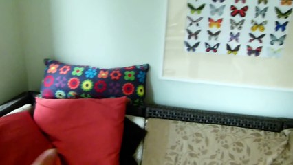 Guinea Pig Shed Tour   March 2014