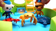 Deep Sea Monsters Appeared~! Protect Sea Creatures Go Octonauts GUP K