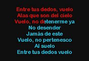 Ricky Martin - Vuelo  (Karaoke)