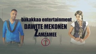 dawite mekonen_ZAMZAMEE_new oromo music 2017-sWyoZ5NC0Eo