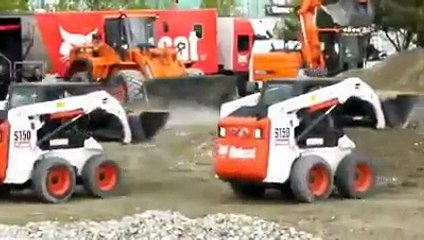 bobcat ballet done by professionals