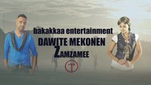 dawite mekonen_ZAMZAMEE_new oromo music 2