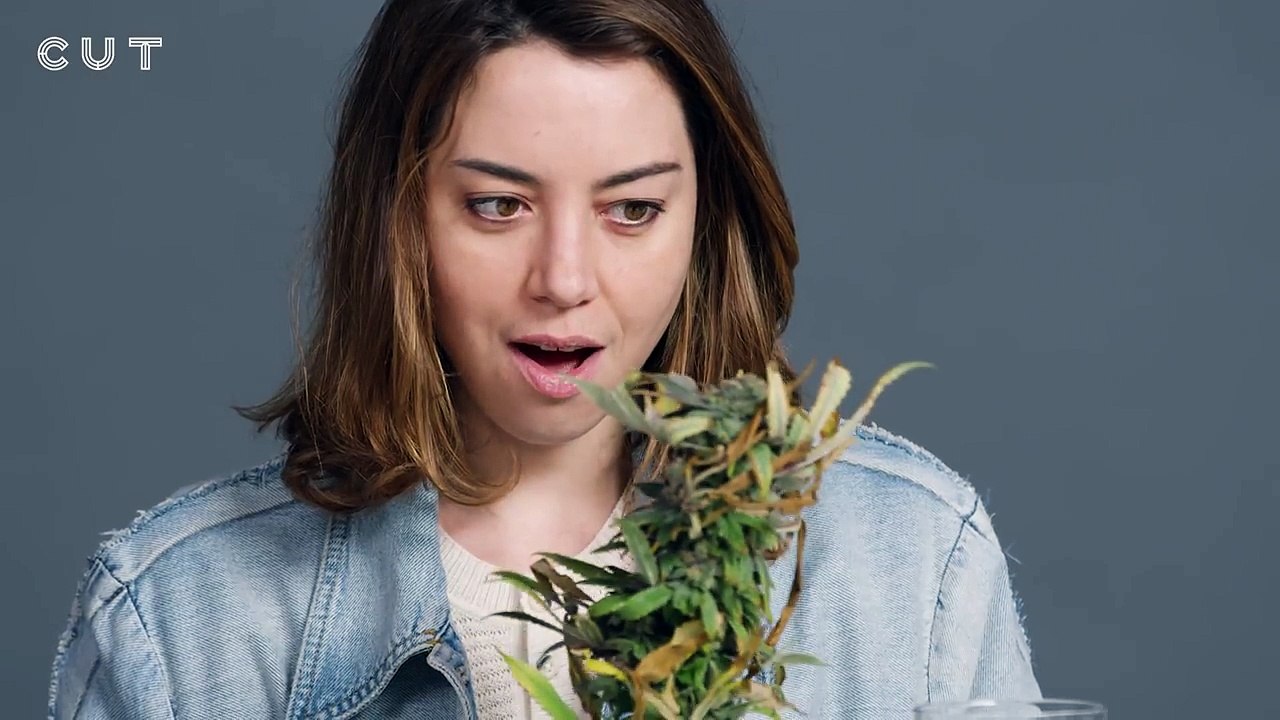 Aubrey Plaza Smokes Pot with the Weed Nuns