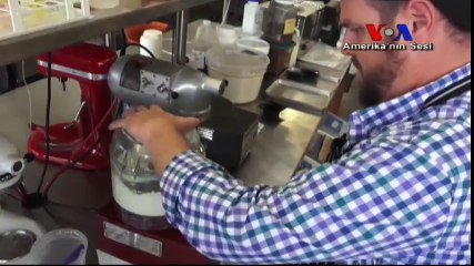 Bitkiler Küresel Gıda Krizinin Çözümü Olabilir mi?