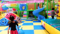 Trường Chúng Cháu Đây Là Trường Mầm Non♫♫♫ Ca Nhạc Thiếu Nhi Hay Nhất - VNKids