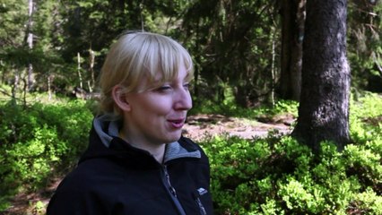 In Norwegen wächst Literatur fürs 22. Jahrhundert