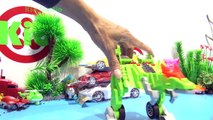 Xe ô tô đồ chơi trẻ em biến hình khủng long bé Tiba 4k Car toy transform to dinosour 401 Kid Studio