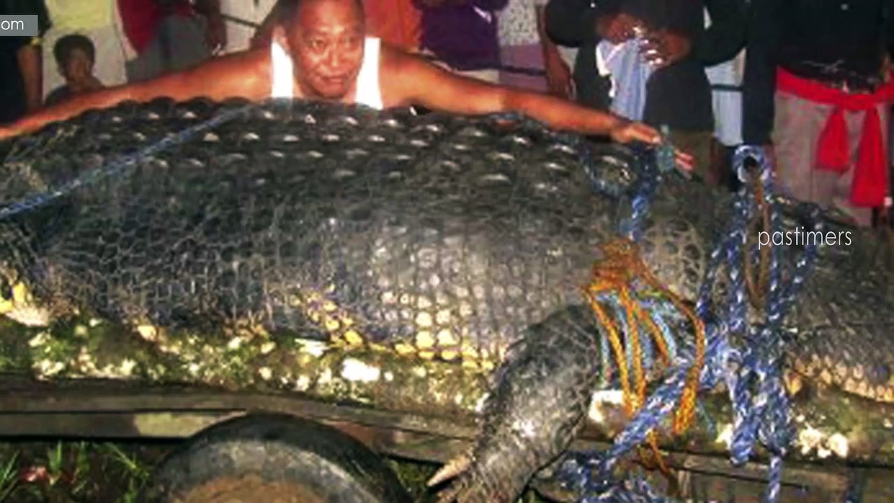 10 Abnormally Large Animals That Are Actually Real