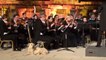 Un chien se détend auprès d'un orchestre